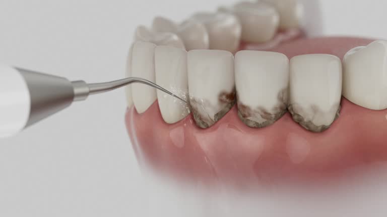 Reliable Dental contractor in League City, TX by Dentist Open Now